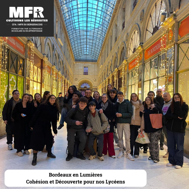 Lire la suite à propos de l’article Bordeaux en lumières 2025