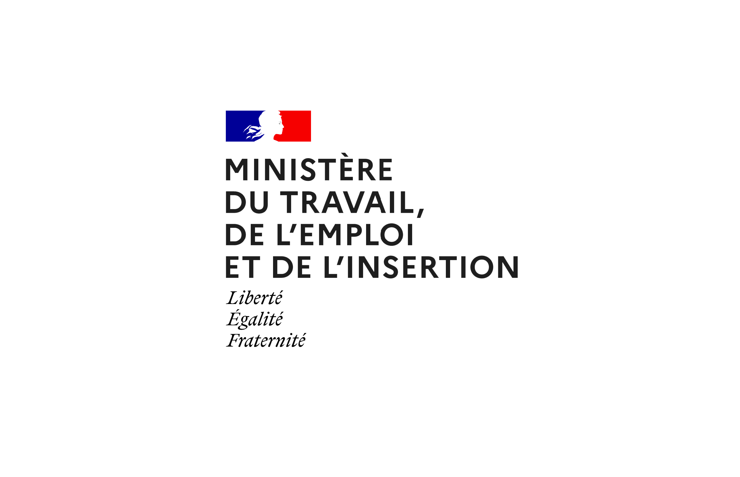 logo_ministere_travail